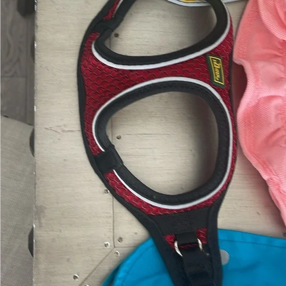 Assorted dog accessories - Picture 5 of 5